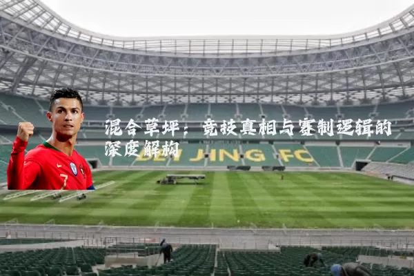 混合草坪：竞技真相与赛制逻辑的深度解构